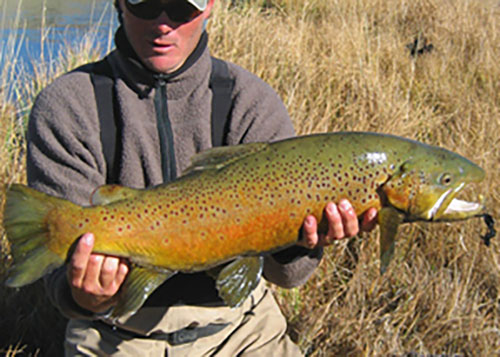 Trophy-Trout-img03