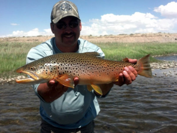 Miracle Mile Fly Fishing Report - Grey Reef Anglers And Wingshooting