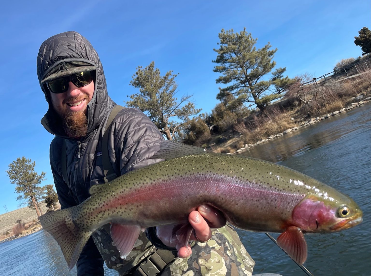 Miracle Mile Fly Fishing Report - Grey Reef Anglers and Wingshooting